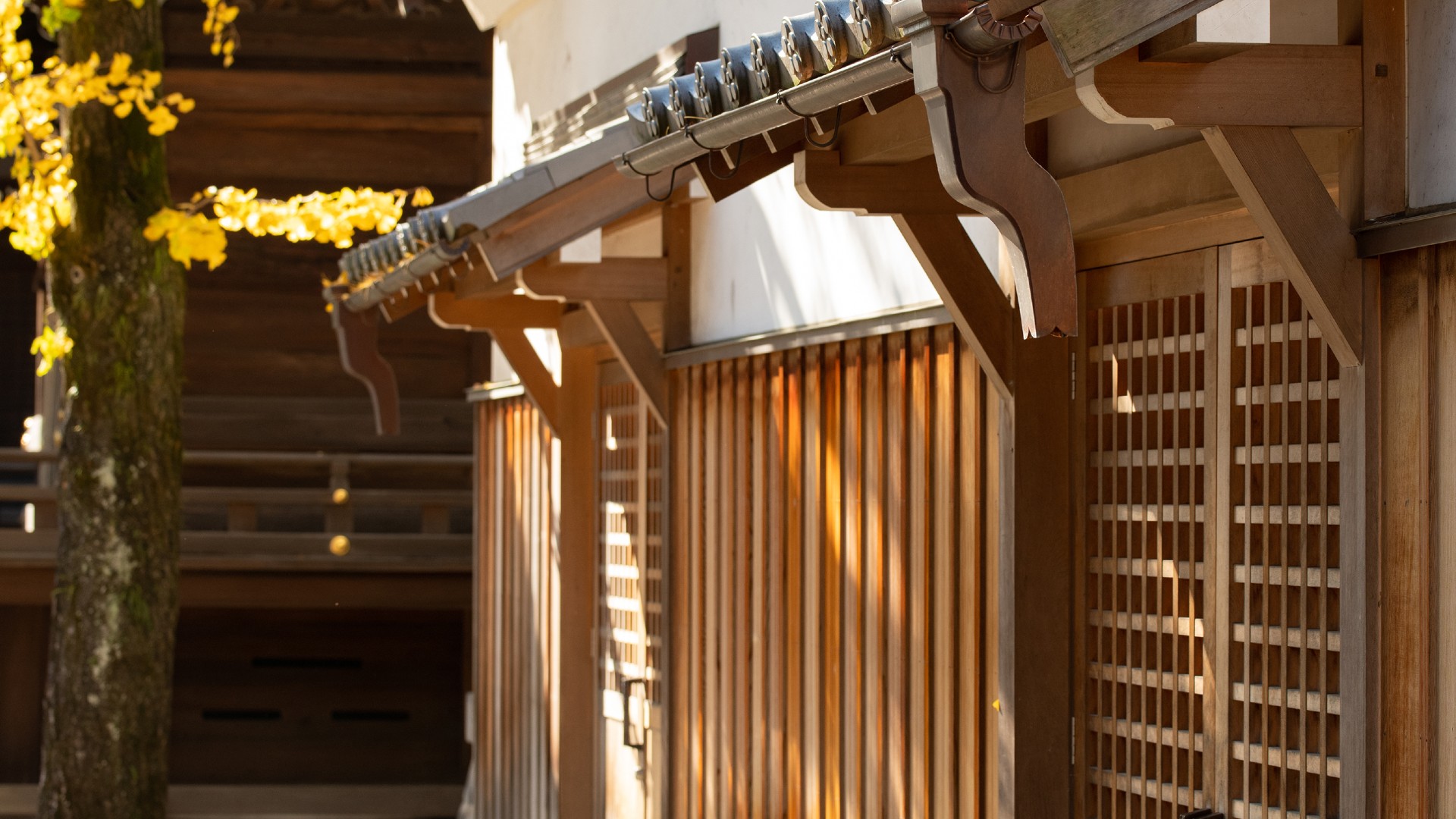 What is a Kissaten? Your Complete Guide to Japan's Traditional Coffee Shops